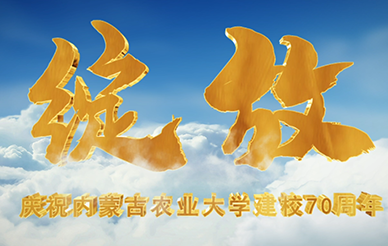 &#20048;&#31454;&#23448;&#32593;&#45;&#20048;&#31454;&#40;&#20013;&#22269;&#41;&#19968;&#31449;&#24335;&#20307;&#32946;&#26381;&#21153;